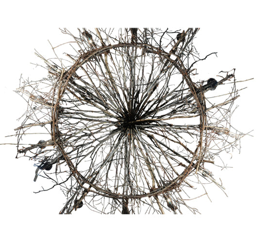 132" Wide Twigs 12 Light Chandelier