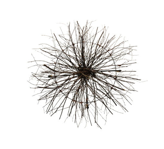 48" Wide Twigs 4 Lt Chandelier