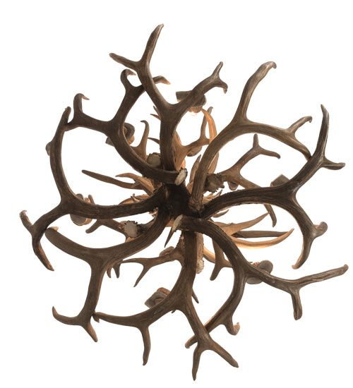 34" Wide Antlers Mule Deer 12 Lt Chandelier