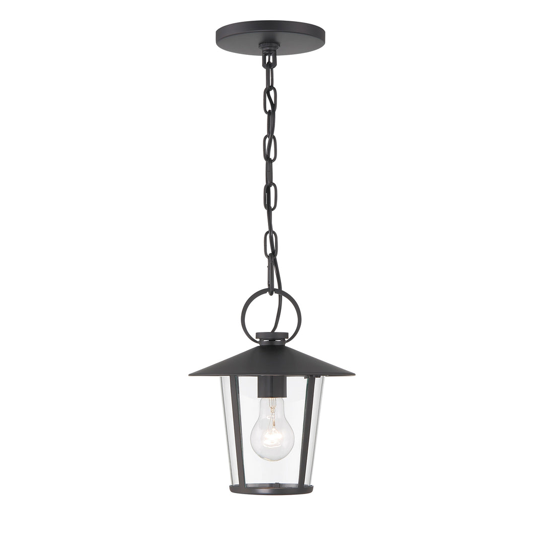 Andover 1 Light Matte Black Outdoor Pendant