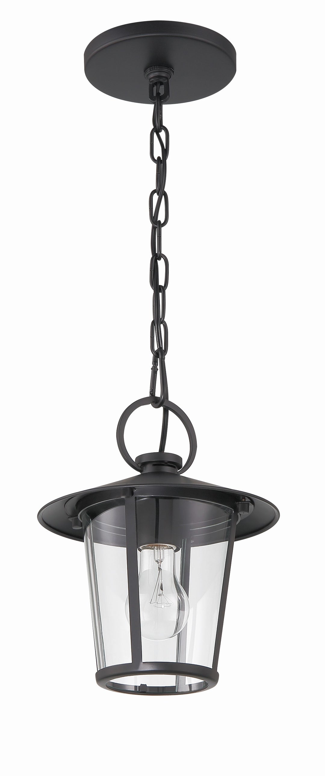 Crystorama Andover 1 Light Matte Black Outdoor Pendant