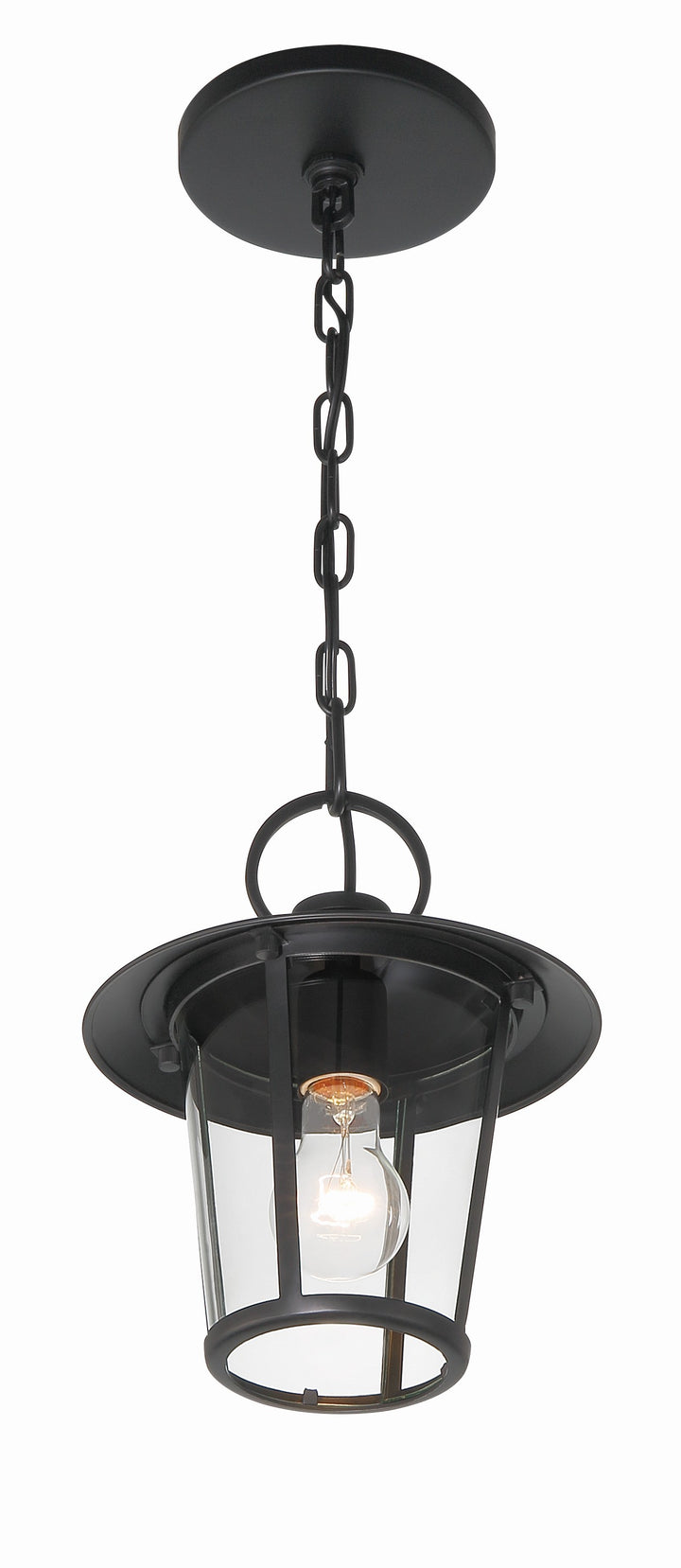 Crystorama Andover 1 Light Matte Black Outdoor Pendant