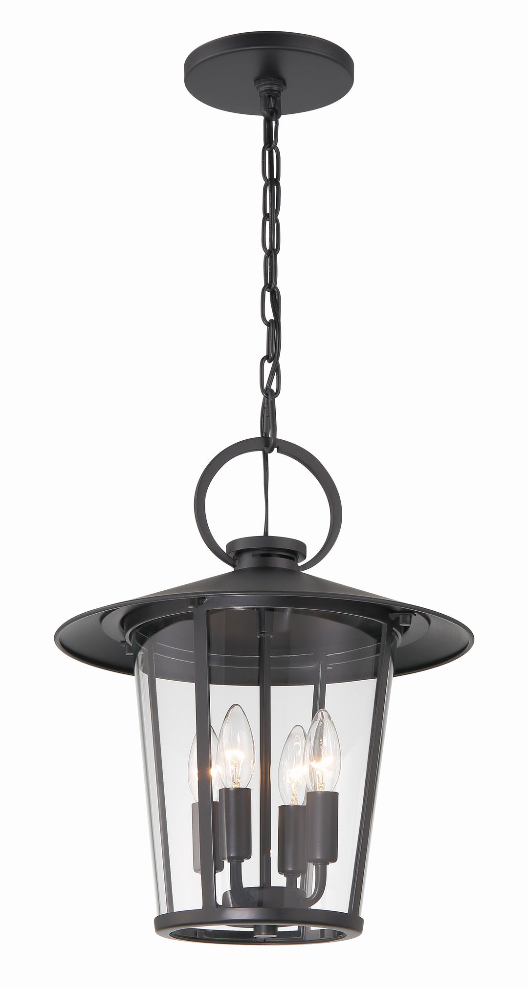 Crystorama Andover 4 Light Matte Black Outdoor Pendant