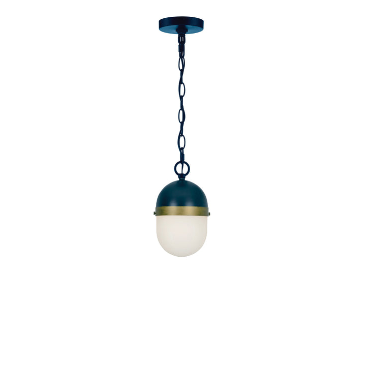 Crystorama Brian Patrick Flynn Capsule 1 Light Matte Black + Textured Gold Outdoor Pendant