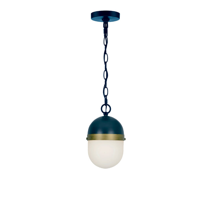 Crystorama Brian Patrick Flynn Capsule 3 Light Matte Black + Textured Gold Outdoor Pendant