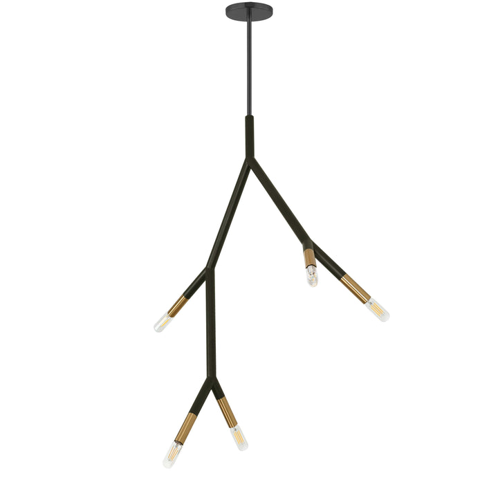 Dainolite 5 Light Incandescent Pendant in Aged Brass