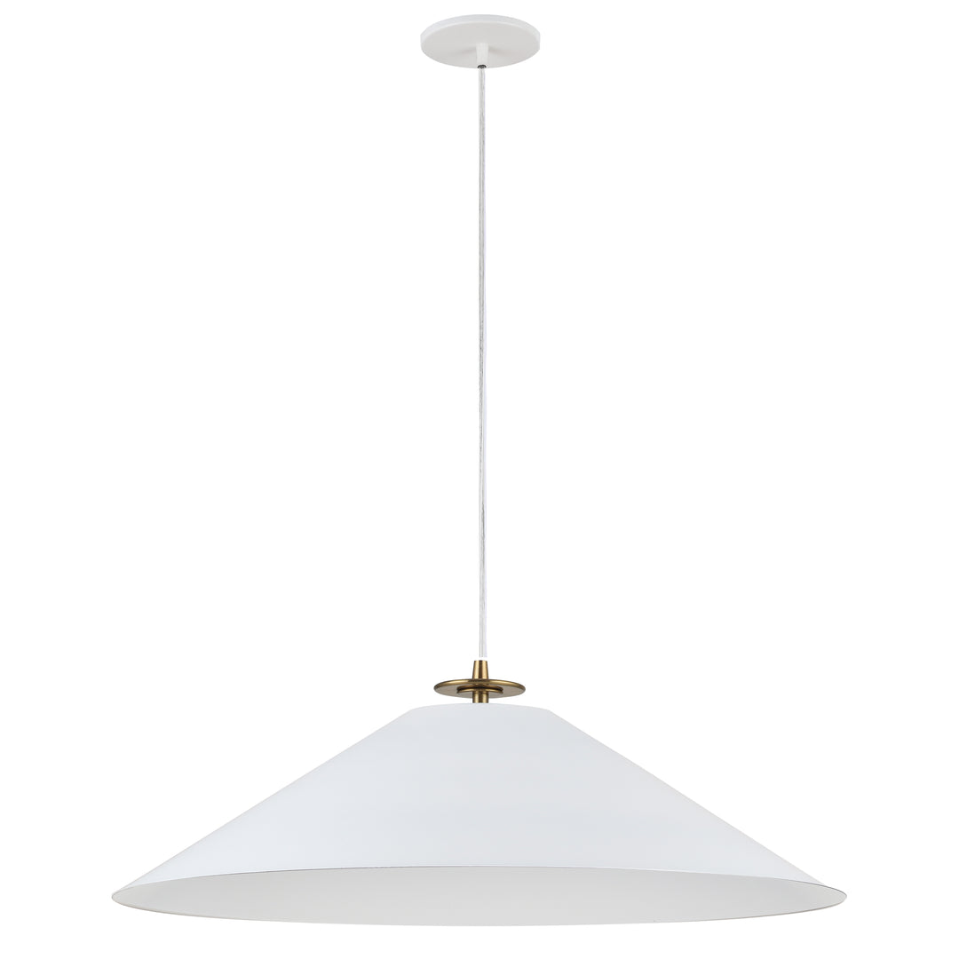 Dainolite 1 Light Incandescent Pendant, Aged Brass and Matte Black