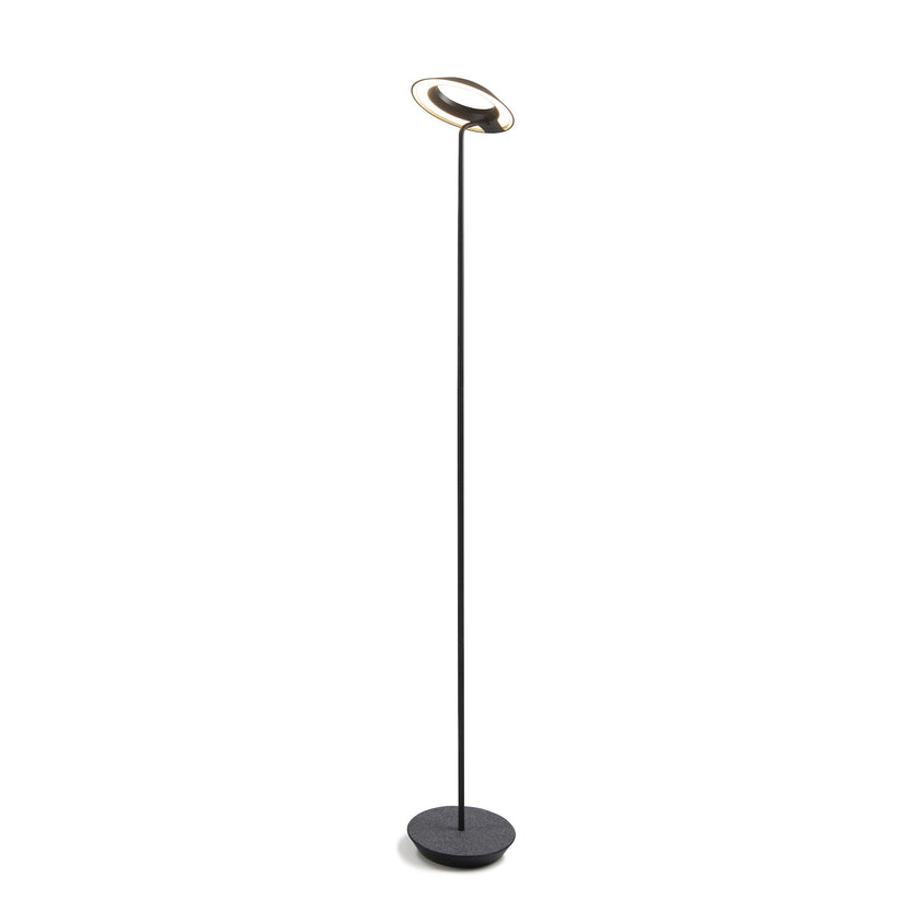 Royyo Floor Lamp