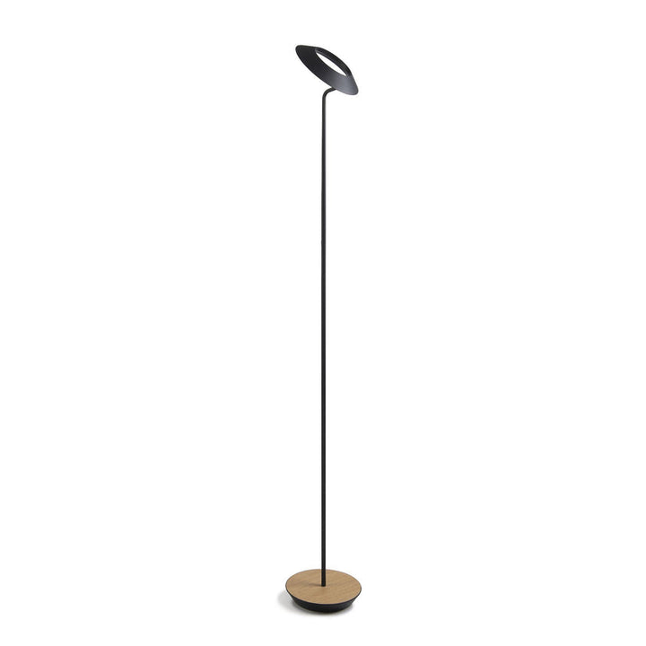 Royyo Floor Lamp