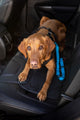 PETinPACK Seat Belt for Dogs