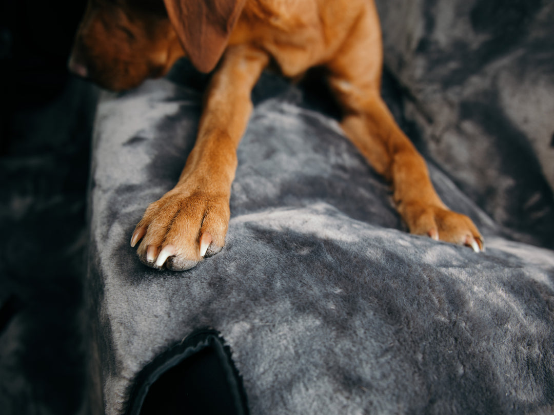 Sheepskin Car Seat Protectors for Dogs