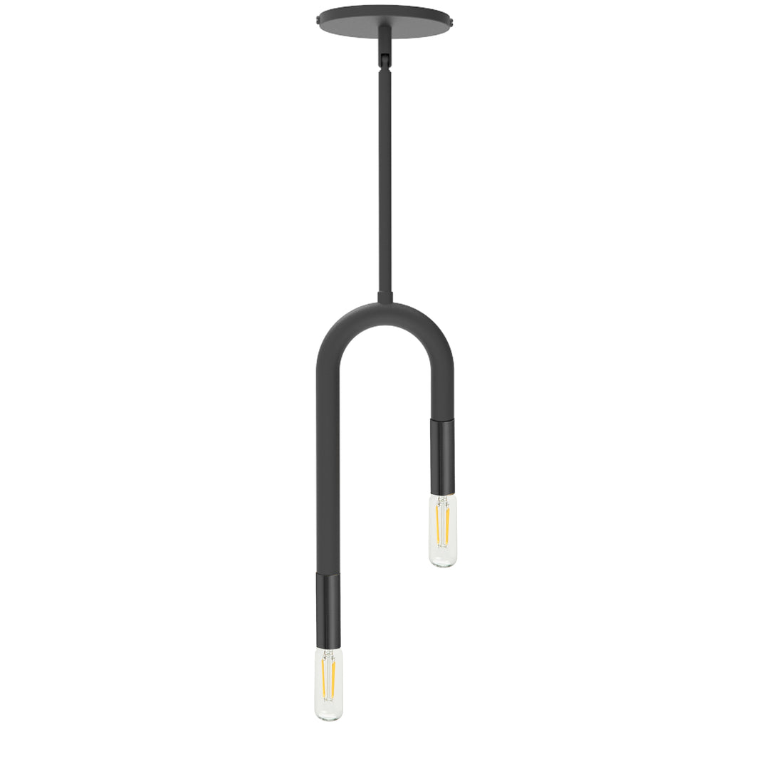 Dainolite 2 Light Incandescent Matte Black Pendant