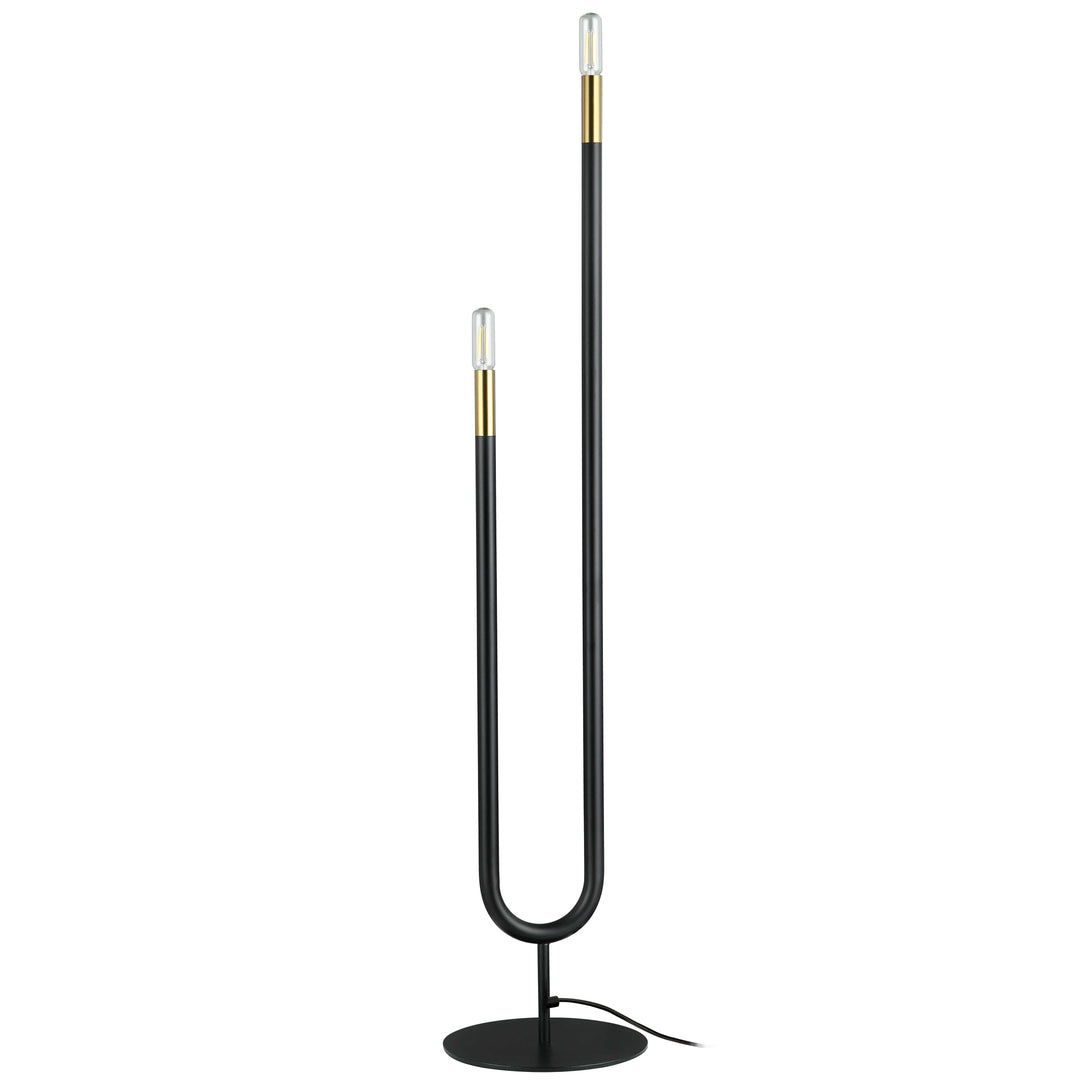 Dainolite 2 Light Incandescent Floor Lamp, Matte Black