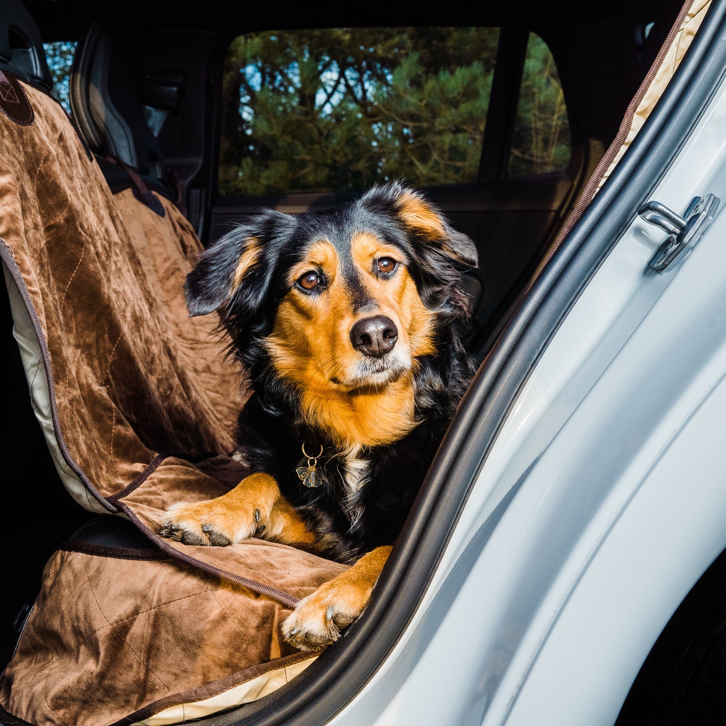 Velvet Car Seat Protectors for Dogs