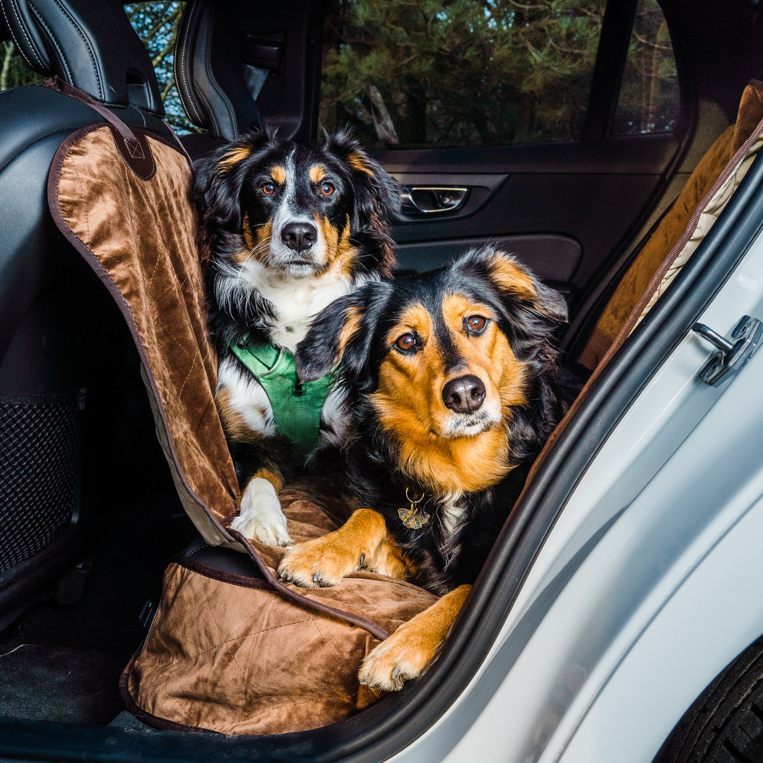 Velvet Car Seat Protectors for Dogs